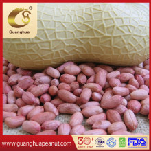 Export High Quality Peanut Kernels with Healthy Value